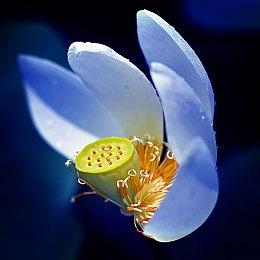 海绵宝宝入侵《堡垒之夜》4款玩法现已上线